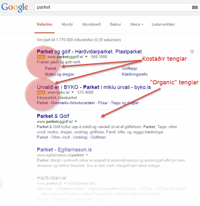 google leitarniðurstöður